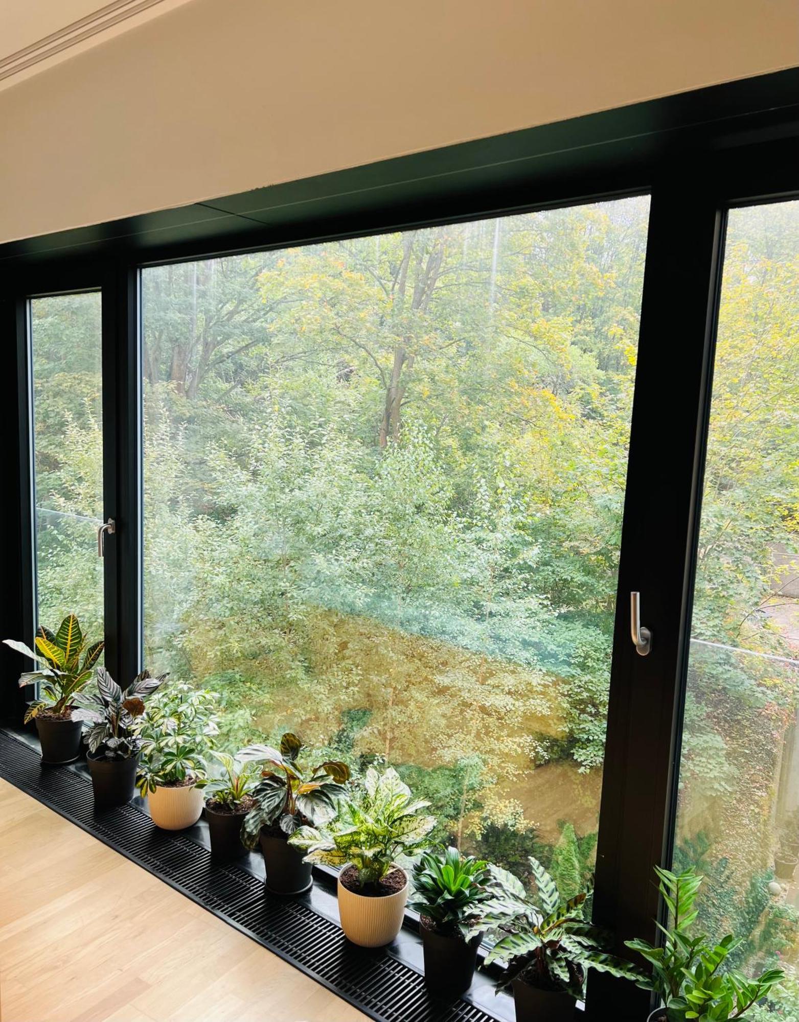 Appartement Artflora Kv Premium à Karlovy Vary Extérieur photo
